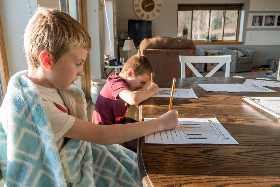 Avoid Home-Made Distractions When Learning At Home