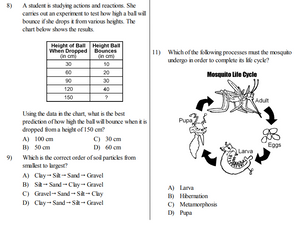 5th Grade Science